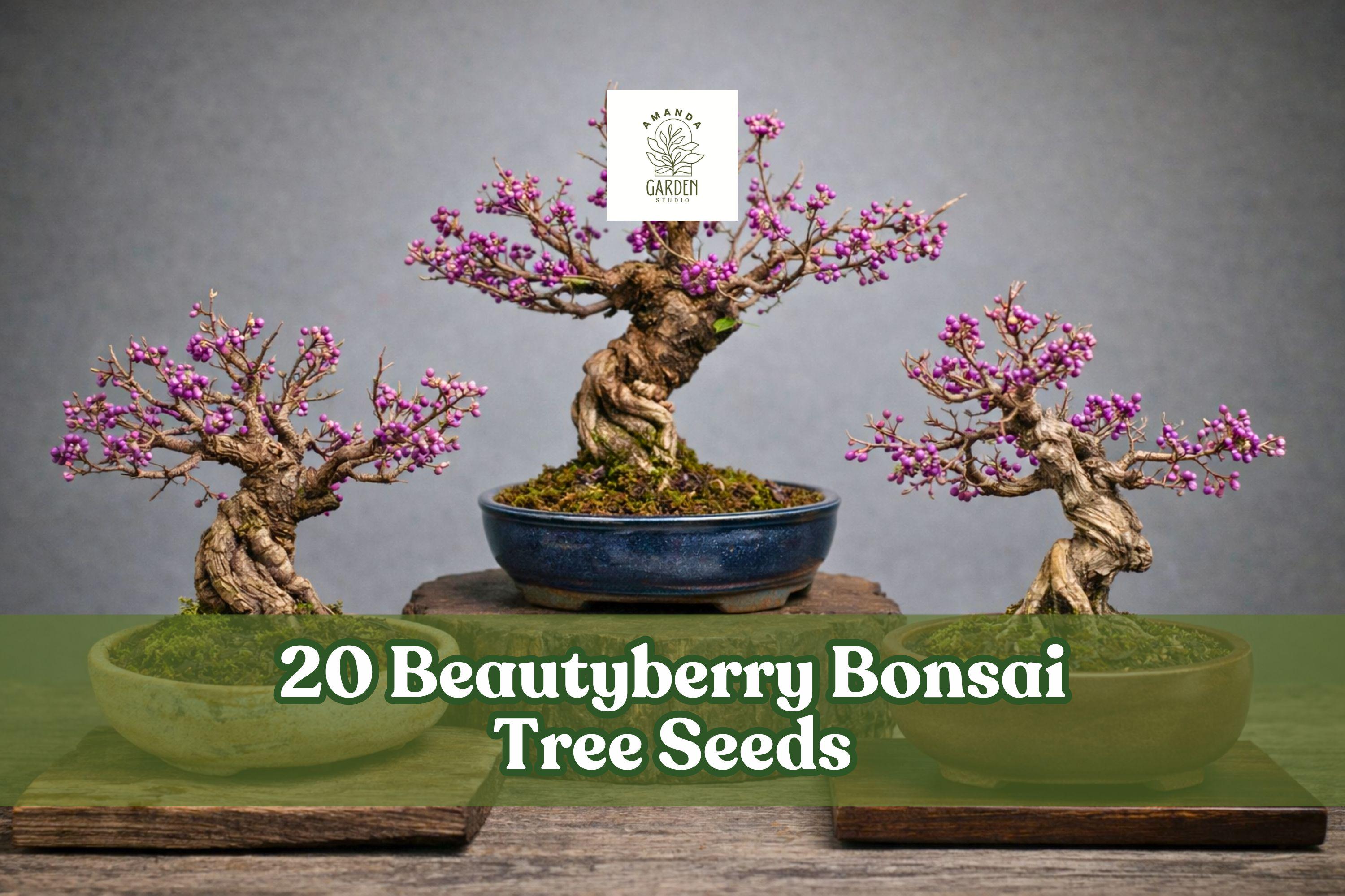 Beautyberry Seeds – Callicarpa americana – Ornamental Berry Shrub for Bonsai & Garden, Purple Berries, 20 Seeds