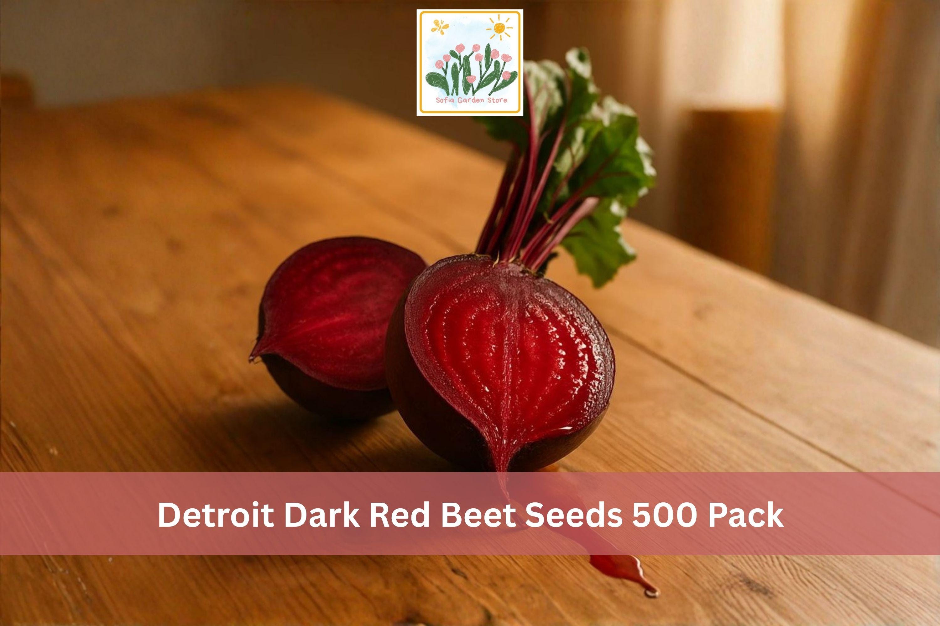 Detroit Dark Red Beet Seeds – 500 Pack, Beta vulgaris, Root Vegetable, Deep Red, Heirloom, Garden, Vegetable Seeds
