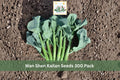 Wan Shen Kailan Seeds 300 Pack | Chinese Kale Brassica oleracea var. alboglabra | Leafy Vegetable for Garden, Container