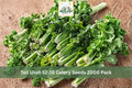 Tall Utah 52/70 Celery Seeds – 2000 Pack, Heirloom Apium graveolens, Green Stalks, Cool Season Vegetable for Garden, Raised Beds