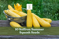 10 Saffron Summer Squash Seeds – Yellow Straightneck Cucurbita pepo for Vegetable Garden, Home Growing