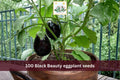 Black Beauty Eggplant Seeds – 100 Heirloom Vegetable Seeds for Garden Beds & Containers, Solanum melongena