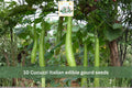 10 Cucuzzi Italian Edible Gourd Seeds – Long Bottle Gourd Vegetable Seeds for Trellis & Garden | Lagenaria siceraria