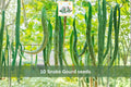 Snake Gourd Seeds – 10 Lagenaria siceraria Vining Vegetable for Trellis & Vertical Gardens