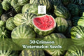 Crimson Watermelon Seeds – Fruit Vine for Garden, Citrullus lanatus, Large Red Flesh, Green Rind, Easy to Grow