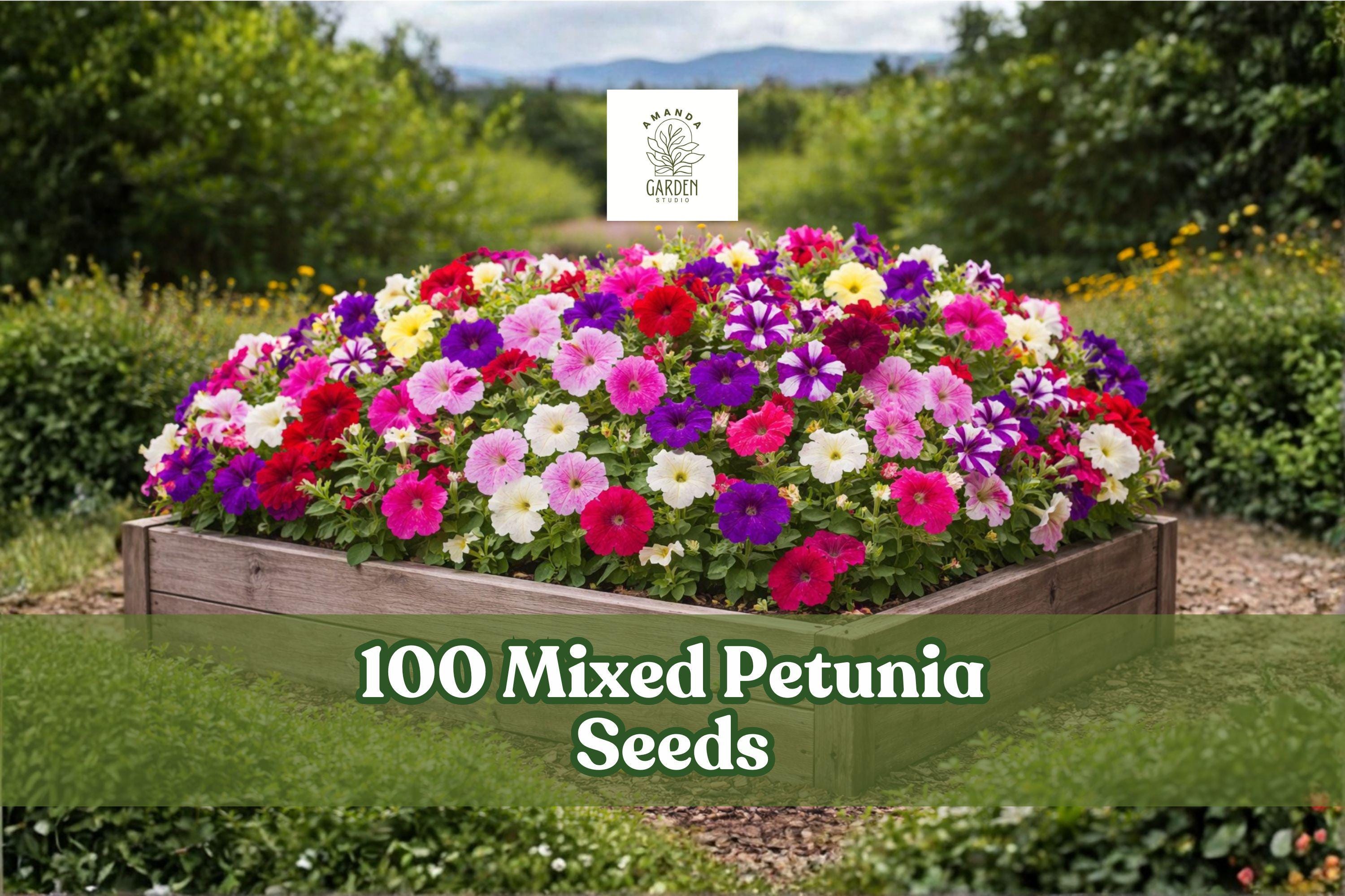 Mixed Petunia Seeds – Colorful Annual Flowers for Garden Beds, Borders & Containers – Petunia spp.