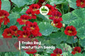 50 Troika Red Nasturtium Seeds – Bright Red Flowers with Yellow Centers, Edible, Tropaeolum majus, Trailing Annual for Gardens & Containers