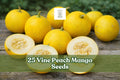 Vine Peach Mango Seeds – Garden Fruit Vine for Backyard, Spreading, Cucumis melo var. chito