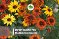 Dwarf Rudbeckia Seeds | Rustic Mix, Black-eyed Susan, Bright Summer Blooms, Rudbeckia hirta, Pollinator-Friendly, 200 Seeds