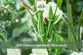 Clemson Spineless Okra Seeds – Heirloom Vegetable Seeds for Garden, Container, Summer Harvest, Abelmoschus esculentus, 100 Seeds