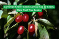 Cornelian Cherry Seeds, Cornus mas, Edible Fruit Tree, Rare Ornamental Shrub, 30 Seeds