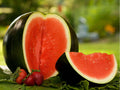 Sugar Baby Watermelon Seeds – 10 Count, Small Dark Green Fruit, Compact Vining Variety, Citrullus lanatus