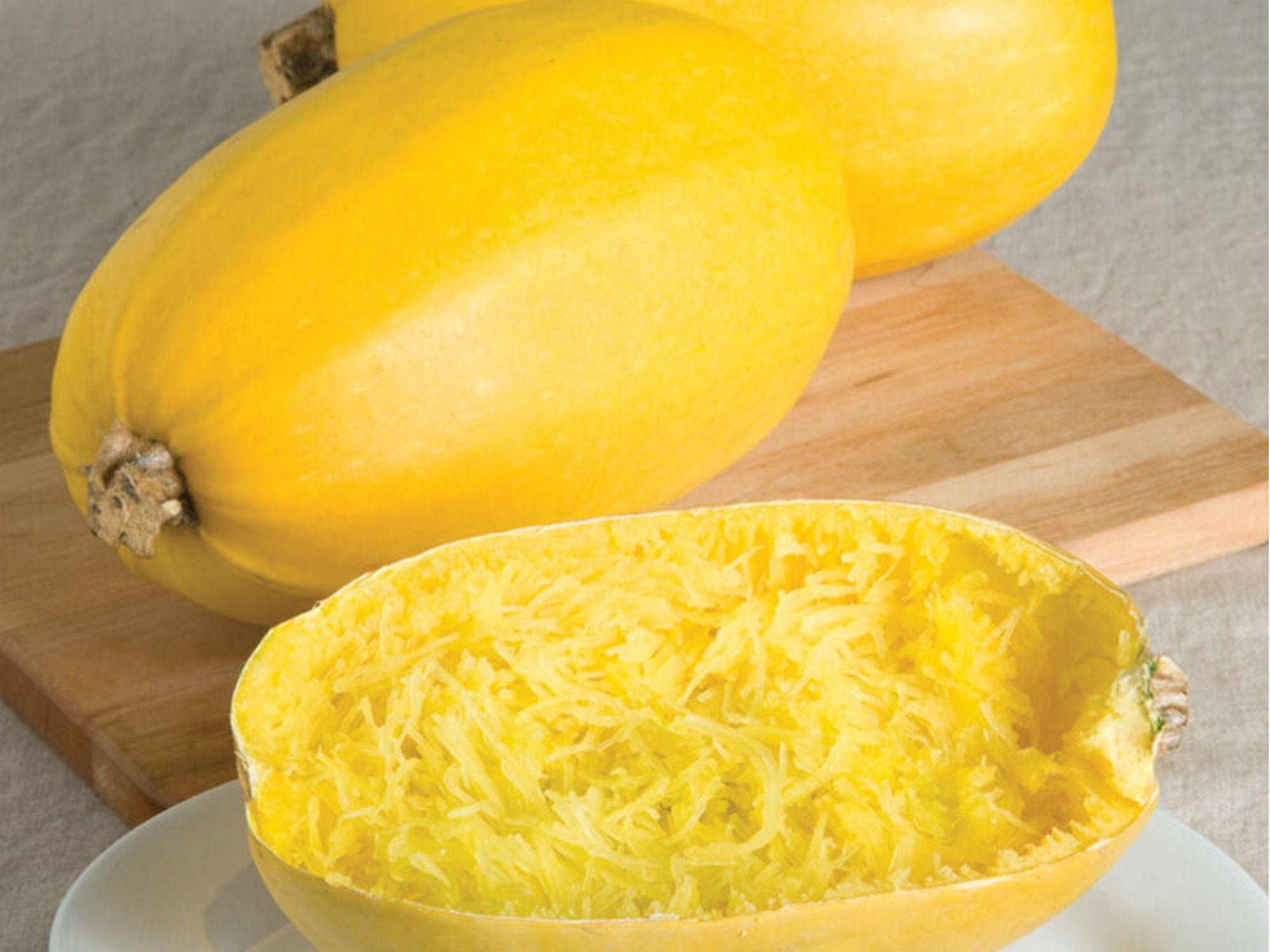 Spaghetti Squash Seeds – 10 Count, Winter Vegetable, Cucurbita pepo, Stringy Flesh, Roasting & Cooking