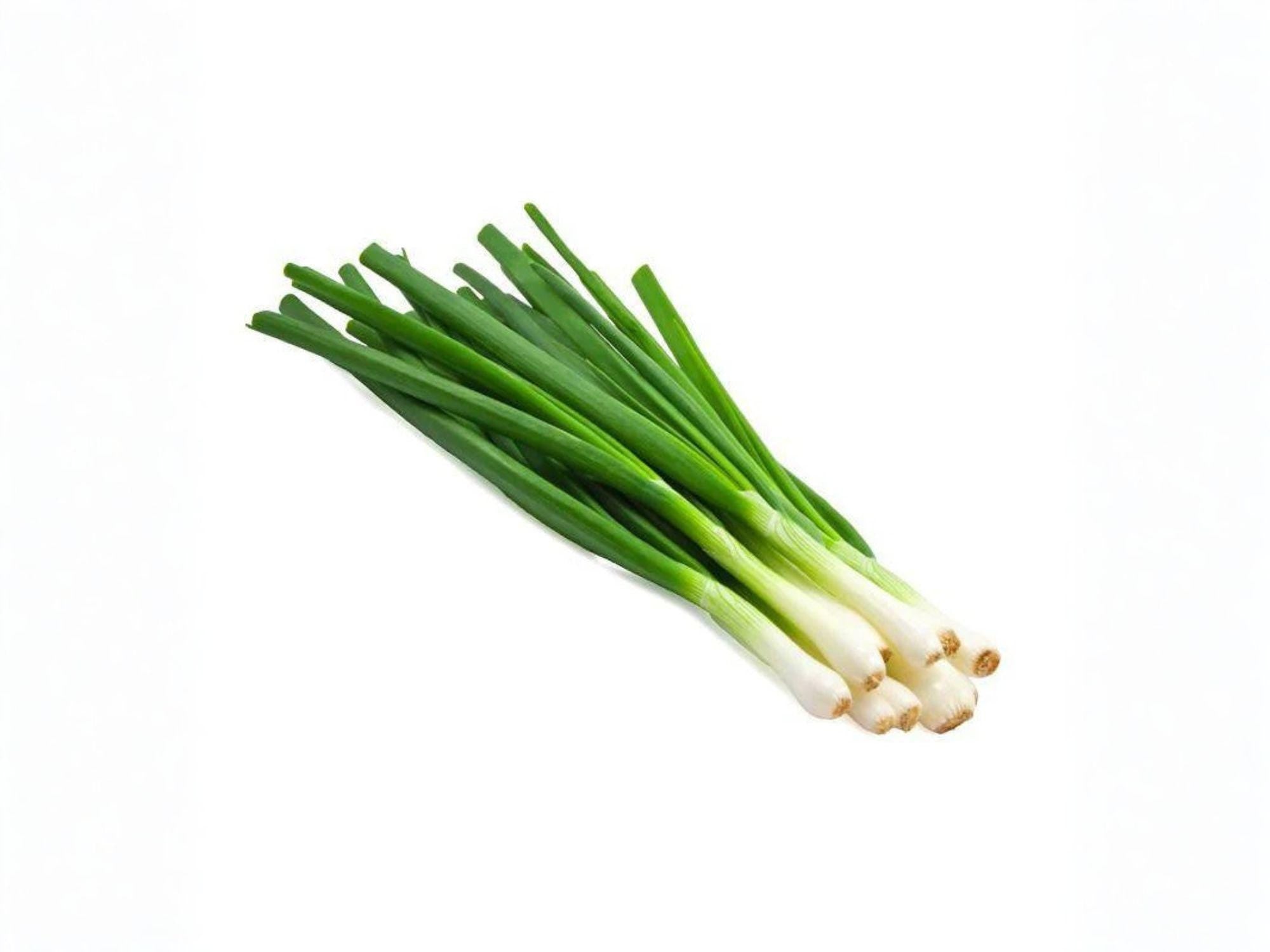 Evergreen Bunching Onion Seeds | Heirloom Non-GMO Vegetable Seeds for Garden, Scallions, Allium fistulosum