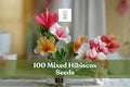 Mixed Hibiscus Seeds - 100+ Vibrant Colorful Flowers for Garden & Containers, Perennial Tropical-Style Blooms, Hibiscus spp.