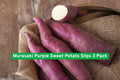 Murasaki Purple Sweet Potato Slips 3 Pack – Live Ipomoea batatas Vines for Edible Garden & Cooking
