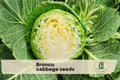 50 Bronco Cabbage Seeds - Brassica oleracea, Compact Round Head Vegetable Seeds for Garden Beds & Containers