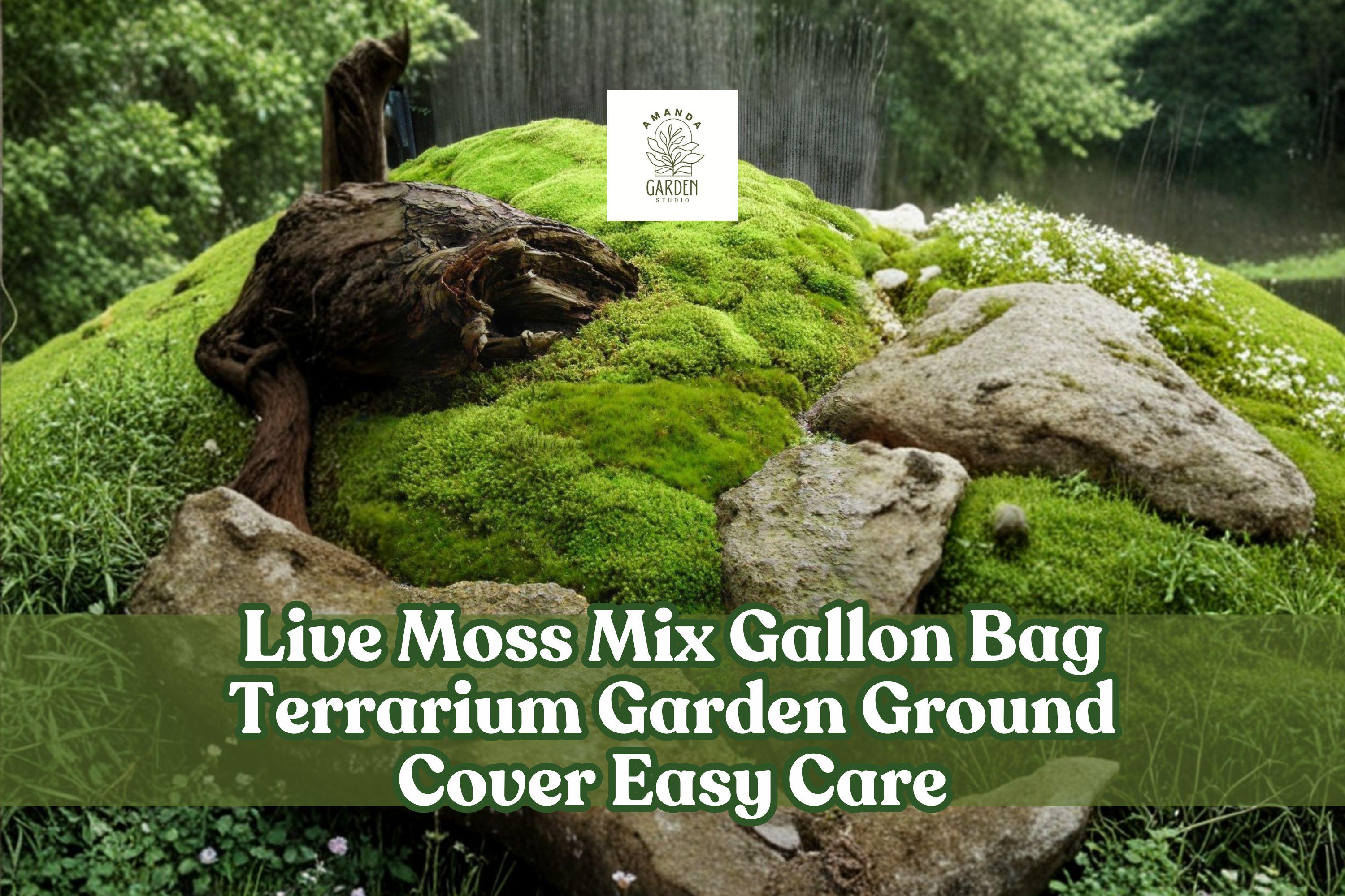 Live Moss Mix Gallon Bag - Assorted Ground Cover for Terrariums, Gardens & Decor | Easy Care, Indoor & Outdoor