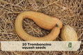 20 Tromboncino Squash Seeds – Cucurbita moschata, Edible Summer & Winter Climbing Vine, Unique Curved Shape, Garden & Trellis Plant
