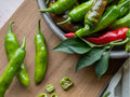 Pepperoncini Seeds – 25 Count, Mild Italian Pickling Pepper, Capsicum annuum, for Garden, Container, or Raised Bed Planting