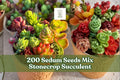 200 Sedum Seeds Mix | Stonecrop Succulent Groundcover for Gardens & Containers | Sedum spp.