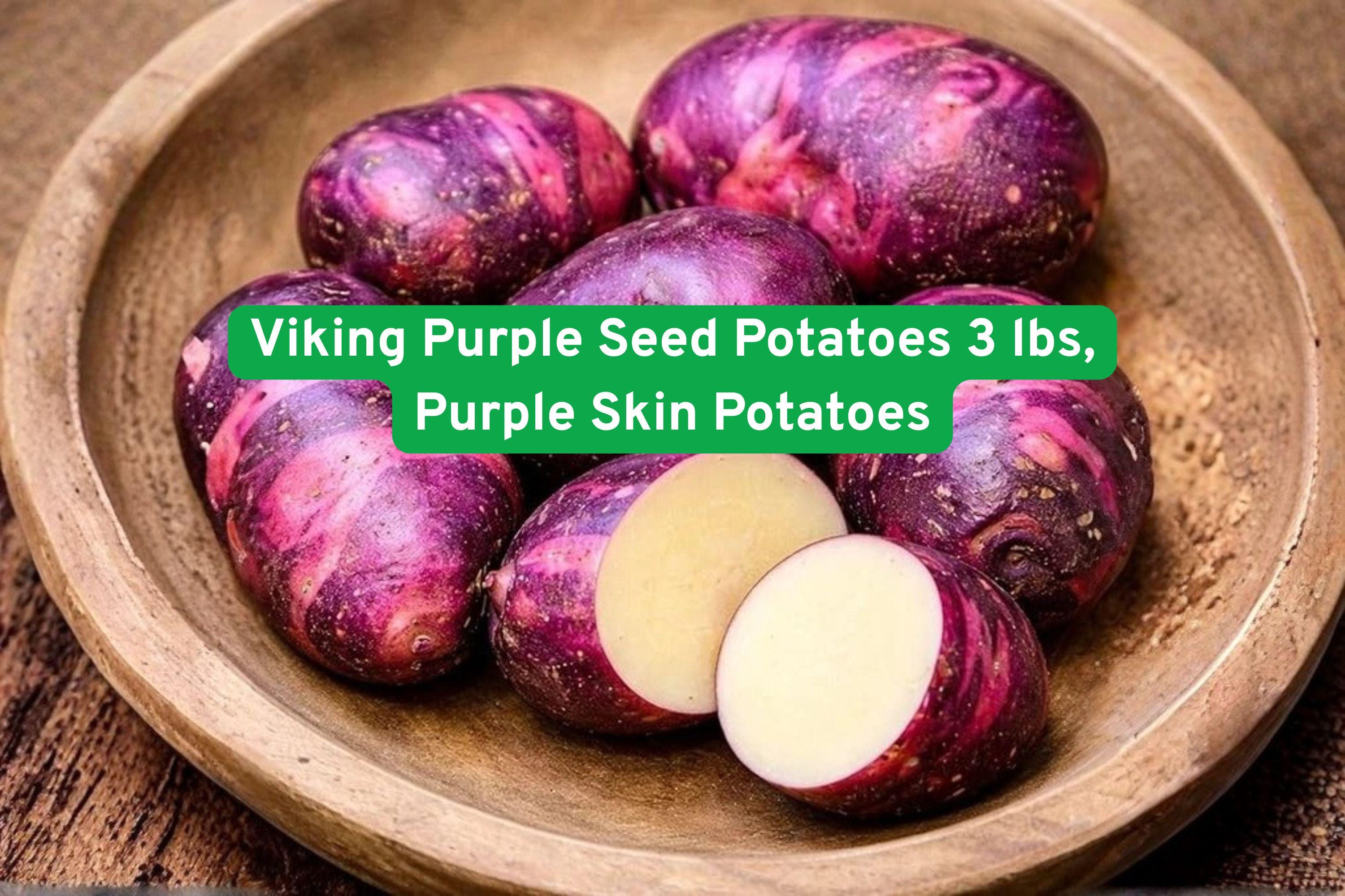 Viking Purple Seed Potatoes 3 lbs – High-Yield Organic Tubers for Garden, Edible Crops, Purple Skin, Root Vegetable, Solanum tuberosum