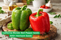 California Wonder Bell Pepper Seeds – Heirloom, Large, Sweet, Capsicum annuum, 500+ Seeds