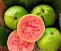 Grafted Ruby Guava Tree Live Plant, 1 Gallon, Tropical Fruit, Potted, Fruit-Bearing, Fast-Growing, Psidium guajava