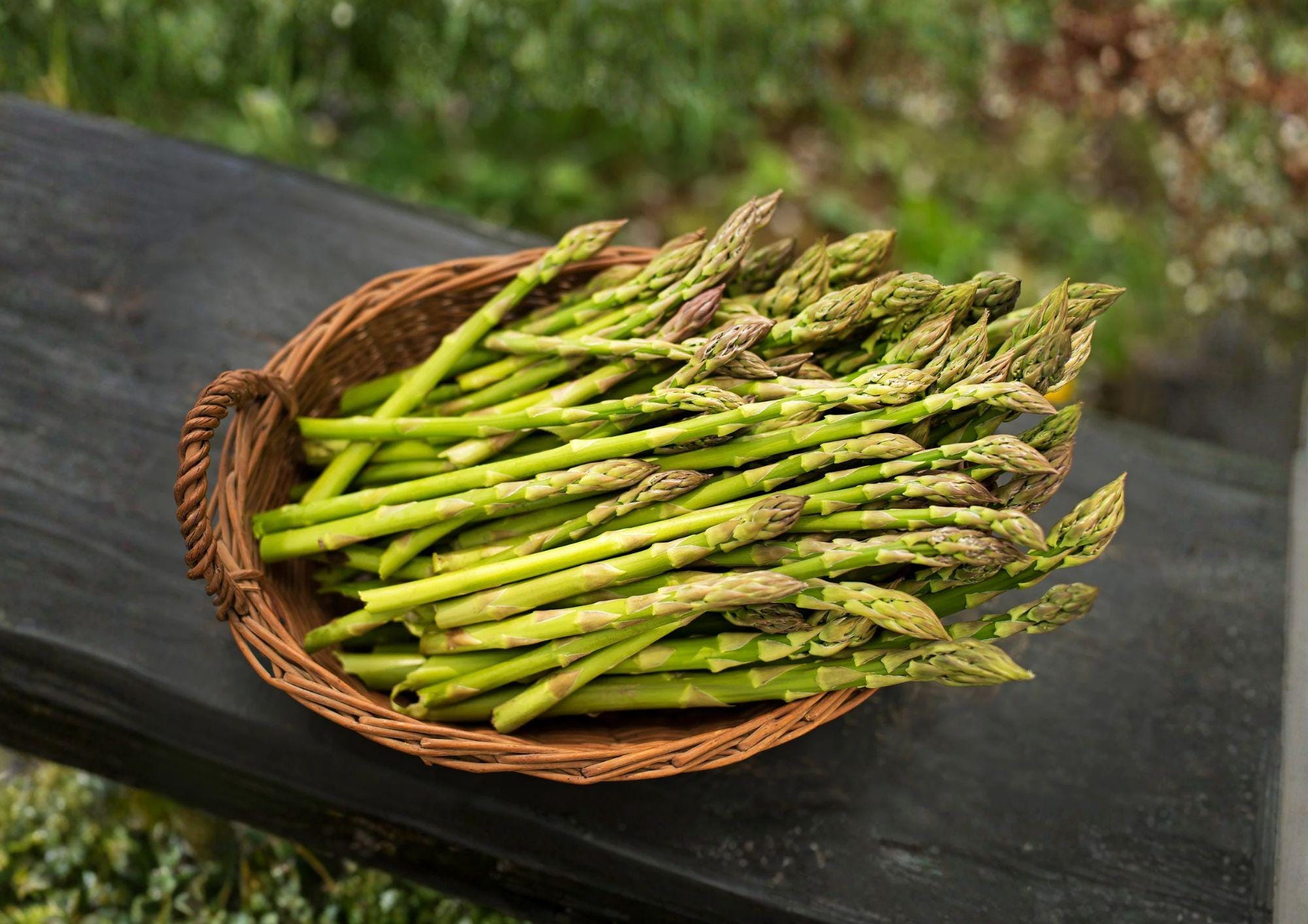 Asparagus Seeds 100+ UC72 Mary’s Granddaughter Heirloom Organic Non-GMO Vegetable Seeds for Garden Planting