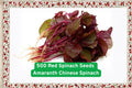 Red Amaranth Seeds – Fast-Growing Edible Leafy Green, Nutritious Superfood, Red Foliage, Amaranthus tricolor, Garden Seeds