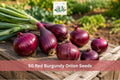 Red Burgundy Onion Seeds - Short Day Allium cepa for Vegetable Gardens, Raised Beds, Outdoor Planting