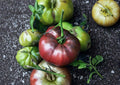 Black Brandywine Tomato Seeds - Heirloom Beefsteak, Dark Purple-Red Fruits, Gourmet Flavor, Garden Planting, 30+ Seeds