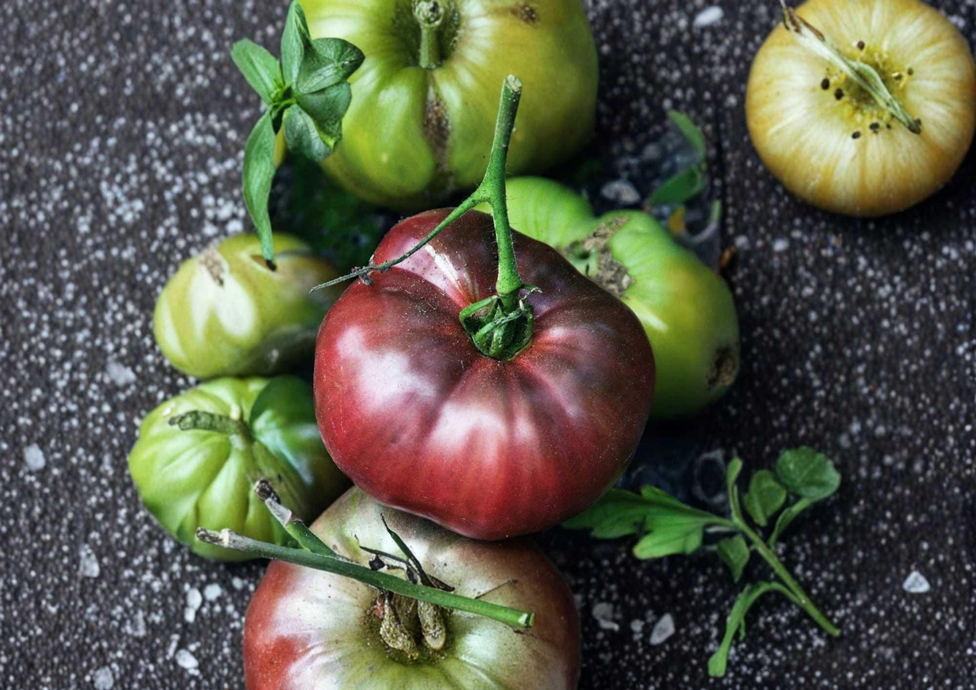 Black Brandywine Tomato Seeds - Heirloom Beefsteak, Dark Purple-Red Fruits, Gourmet Flavor, Garden Planting, 30+ Seeds