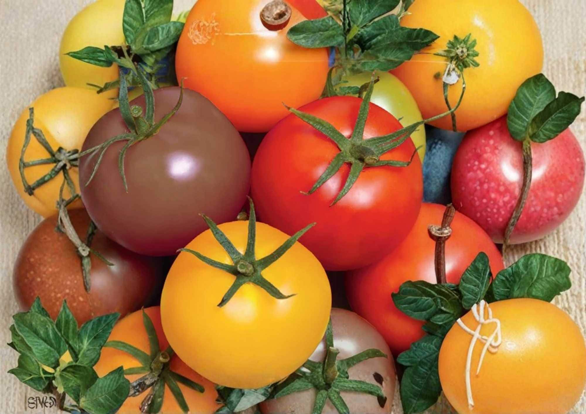 Rainbow Cherry Tomato Seeds - Heirloom Non-GMO Vegetable Seeds for Garden Planting, Colorful Mix, Sweet, High Yield, Solanum lycopersicum