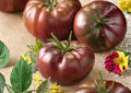 Black Prince Tomato Seeds - Heirloom Non-GMO Rare Vegetable Seeds for Garden Planting, Dark Purple-Red, Medium Fruit