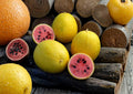 Golden Midget Watermelon Seeds - Heirloom Organic Non-GMO Mini Yellow Skin Fruit Seeds for Garden Planting