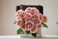 Cafe Latte Rose Cuttings – Rosa hybrid Flowering Shrub for Grafting & Propagation, Beige Brown Blooms