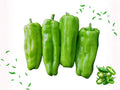 Cubanelle Italian Sweet Pepper Seeds – Heirloom Non-GMO Capsicum annuum for Frying, Stuffing & Fresh Use (25 Seeds)