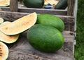 Tendersweet Orange Watermelon Seeds Heirloom Non-GMO Fruit Seeds for Garden Planting, Large Juicy Summer Melon