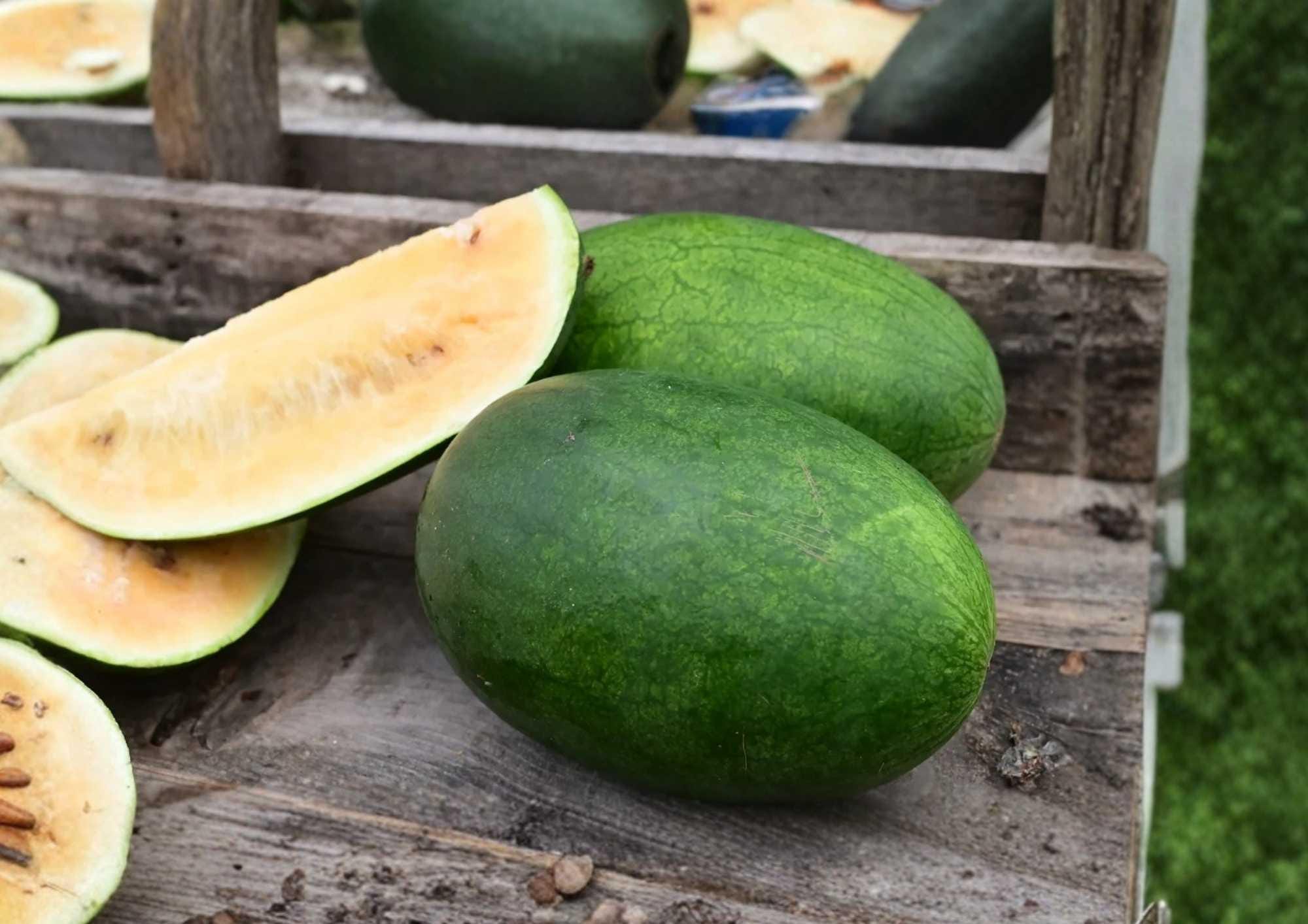 Tendersweet Orange Watermelon Seeds Heirloom Non-GMO Fruit Seeds for Garden Planting, Large Juicy Summer Melon