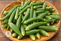 Emerald Okra Seeds – Heirloom Abelmoschus esculentus Non-GMO Vegetable Seeds for Home Garden, Easy to Grow, High Yielding