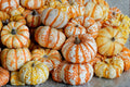 Striped Pumpkin Seeds – Cucurbita pepo, Ornamental White & Red Veined Pumpkin, Fall Garden Vine Crop, Seasonal Decor Plant