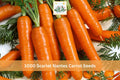 1000+ Scarlet Nantes Carrot Seeds Daucus carota Heirloom Vegetable for Garden Beds & Containers