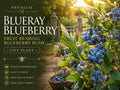 Blueberry Seedlings Live Plants – Vaccinium corymbosum Fruit-Bearing Shrubs for Garden and Containers