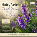 Hairy Vetch Seeds Purple Bounty Non-GMO Cover Crop Soil Builder Pollinator Friendly Heirloom