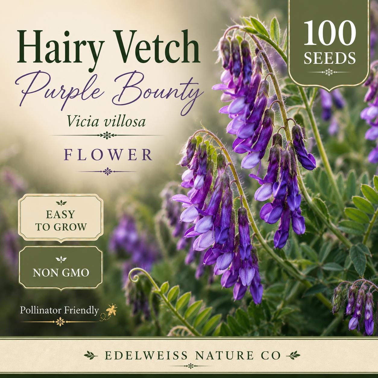 Hairy Vetch Seeds Purple Bounty Non-GMO Cover Crop Soil Builder Pollinator Friendly Heirloom