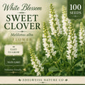 White Sweet Clover Seeds - Heirloom, Non-GMO, Pollinator Flower, Melilotus alba