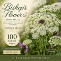 Heirloom Bishop's Flower Seeds (Ammi majus) – White Lace-Like Blooms for Garden Borders & Cut Flowers