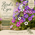 Bird's Eyes Gilia Tricolor Seeds - Heirloom Wildflower, Purple-Blue Flowers, Pollinator-Friendly, Open-Pollinated, Non-GMO
