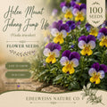 Johnny Jump Up Seeds - Heirloom Viola Tricolor Edible Flower Garden Planting, Non-GMO, Compact, Vibrant Purple, Yellow & White Blooms